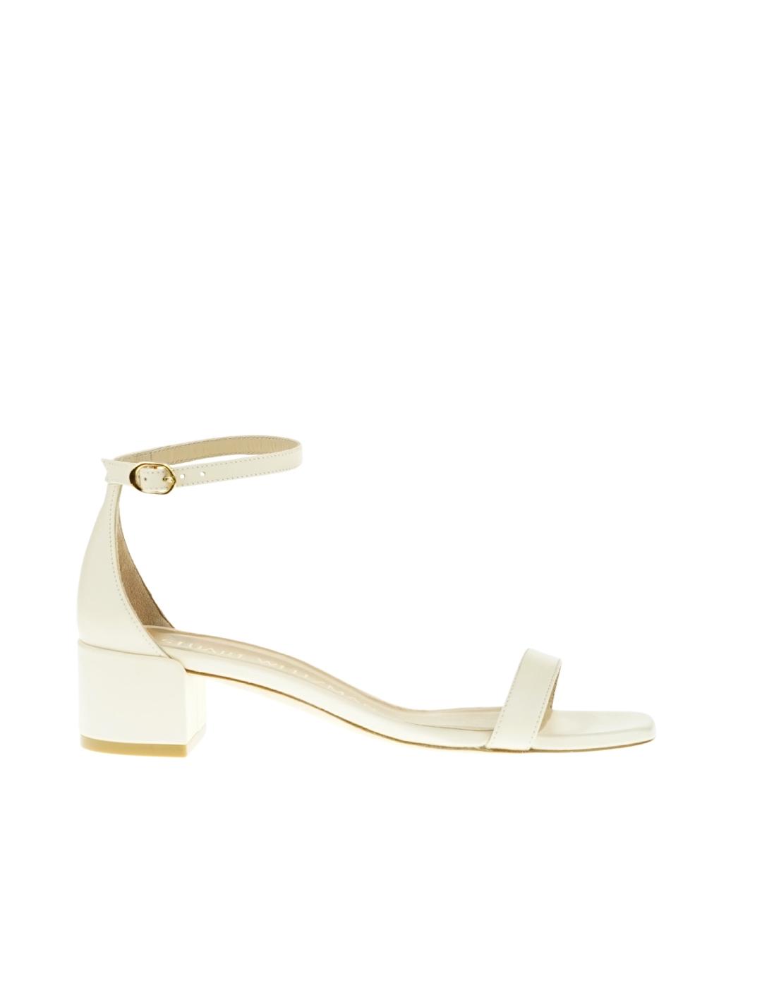 NUDISTCURVE 35 SEASHELL